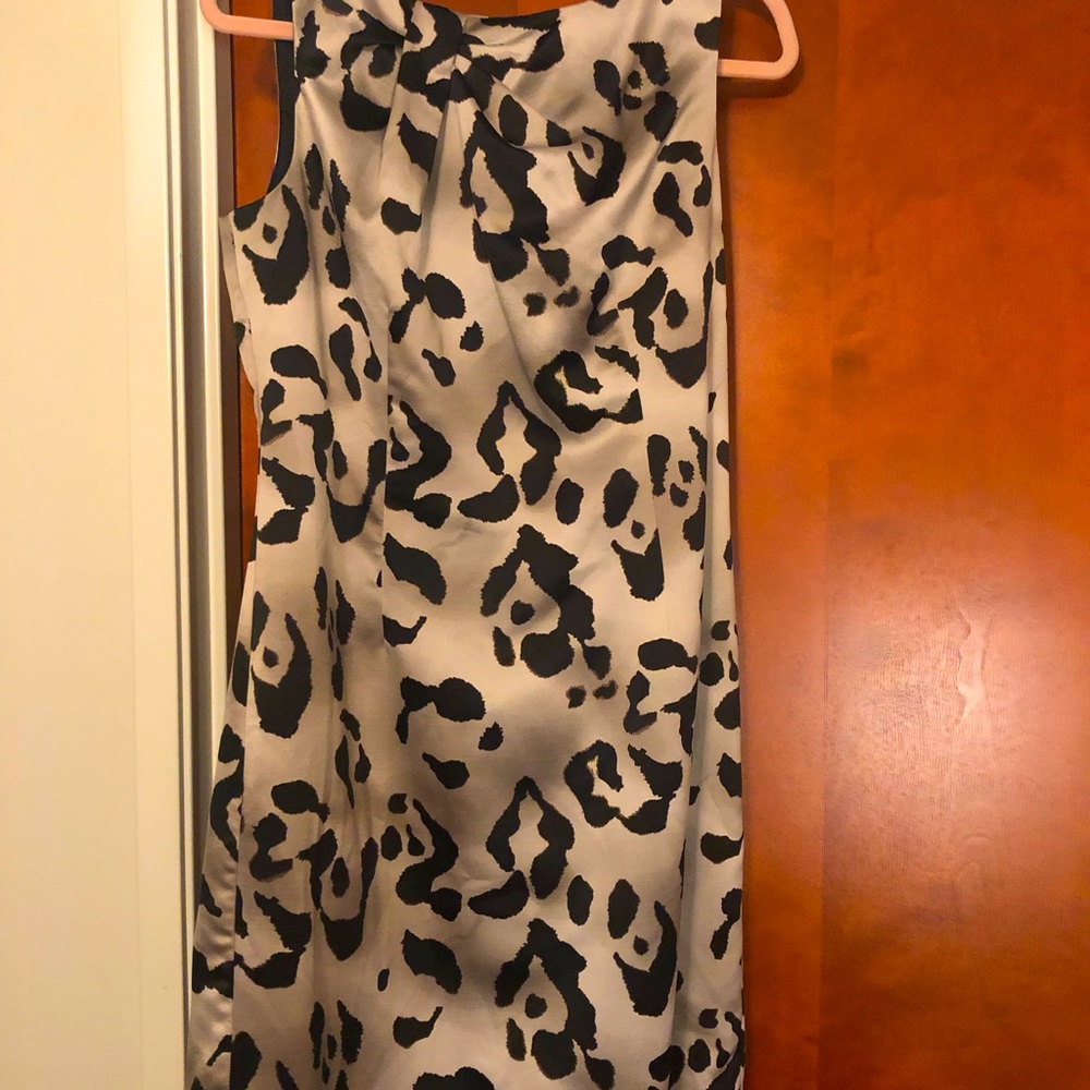Ann Taylor Dress